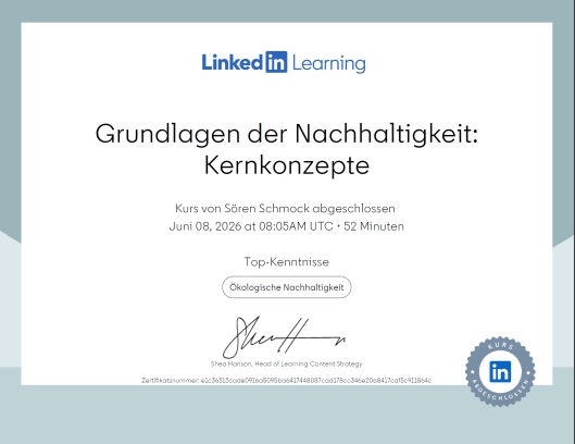 Grundlagen der Nachhaltigkeit: Kernkonzepte